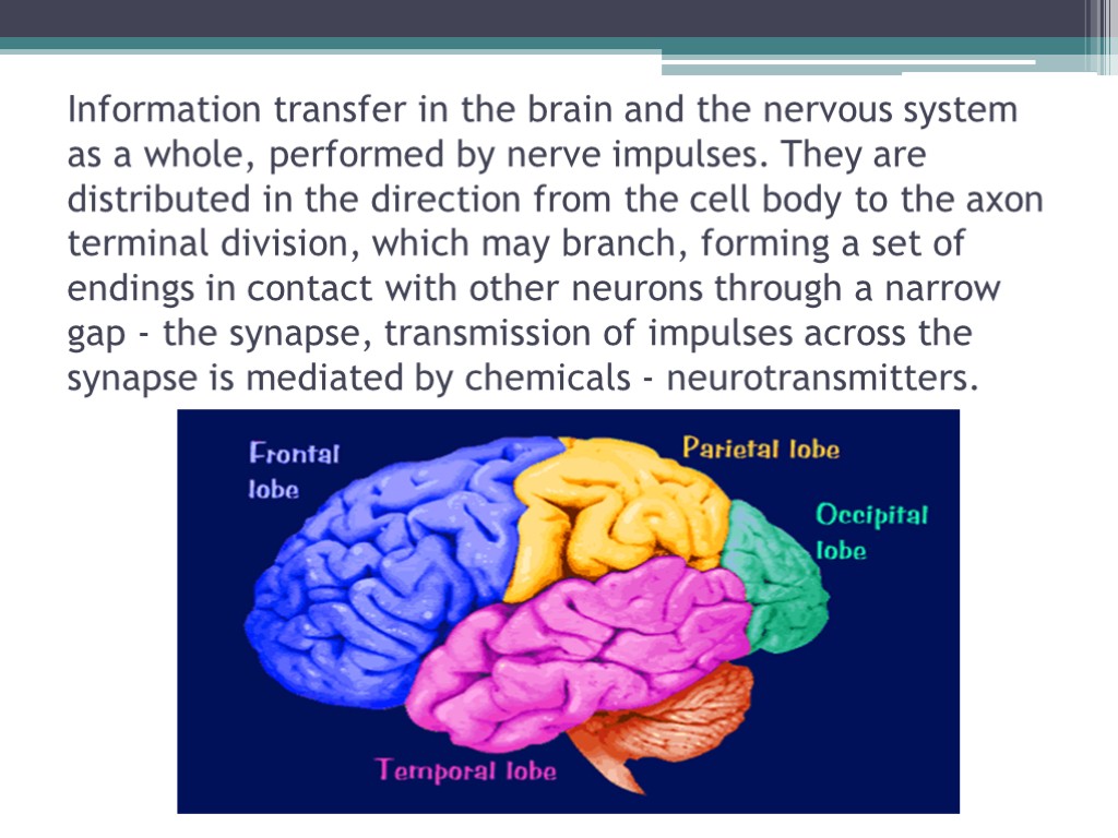 Information transfer in the brain and the nervous system as a whole, performed by